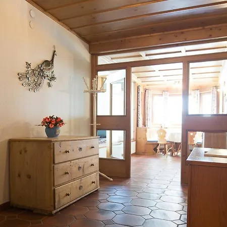 Apartament Schiwiese Mit Freiem Eintritt In Alpentherme In Bad Hofgastein