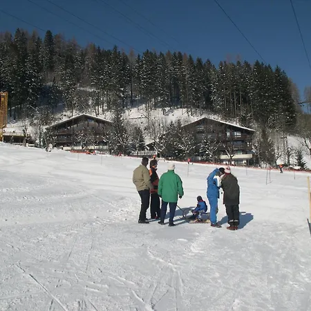 Schiwiese Mit Freiem Eintritt In Alpentherme In باد هوفغاستين