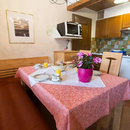 Apartament Schiwiese Mit Freiem Eintritt In Alpentherme In Bad Hofgastein