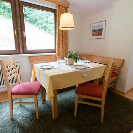 Schiwiese Mit Freiem Eintritt In Alpentherme & Freie Nutzung Der Gasteiner Bergbahnen Im Sommer 2025 Apartment Bad Hofgastein